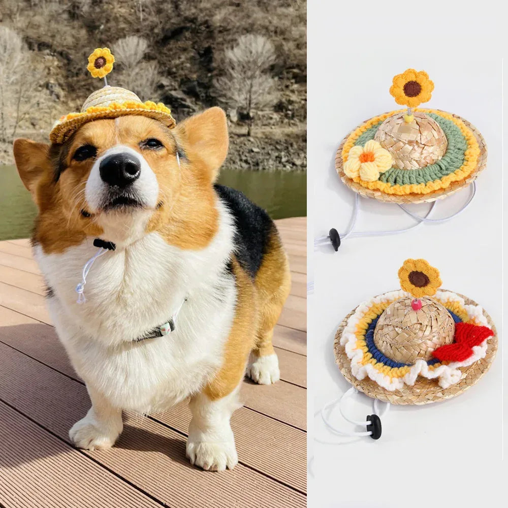 Pet Cute Hat Headwear Decorative Puppy Pet Supplies - silvia-therhond Main image