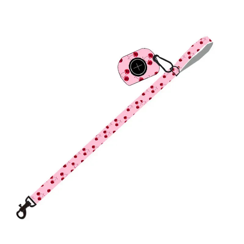 Pet Supplies Dog Leash Set Pet Leash - silvia-therhond