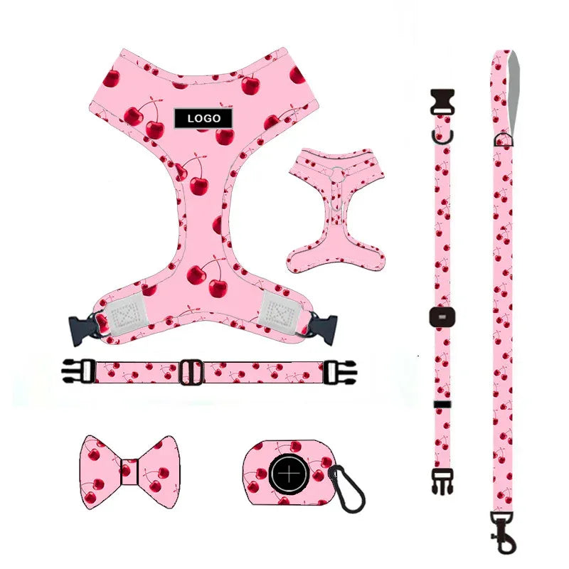 Pet Supplies Dog Leash Set Pet Leash - silvia-therhond