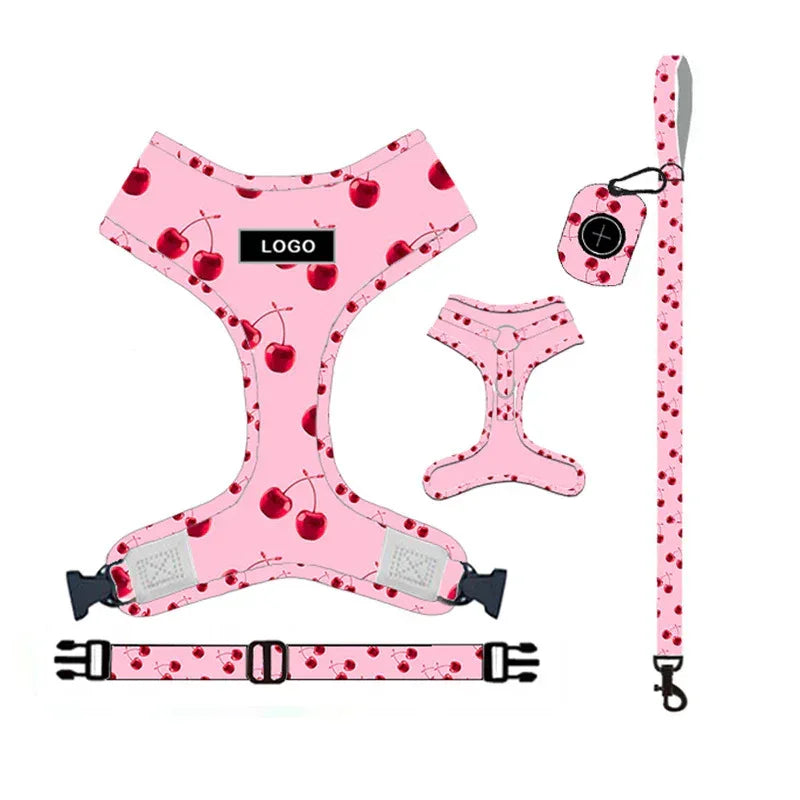 Pet Supplies Dog Leash Set Pet Leash - silvia-therhond