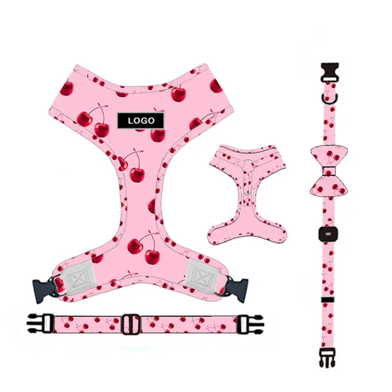 Pet Supplies Dog Leash Set Pet Leash - silvia-therhond
