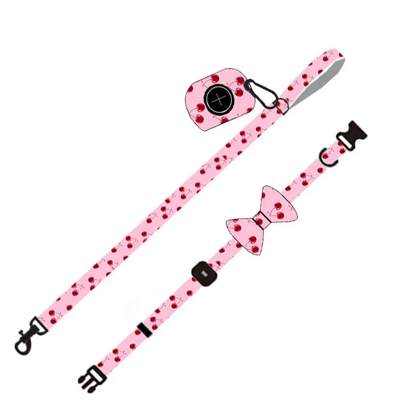 Pet Supplies Dog Leash Set Pet Leash - silvia-therhond