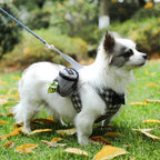Fashion Personality Pet Supplies Dog Bag - silvia-therhond