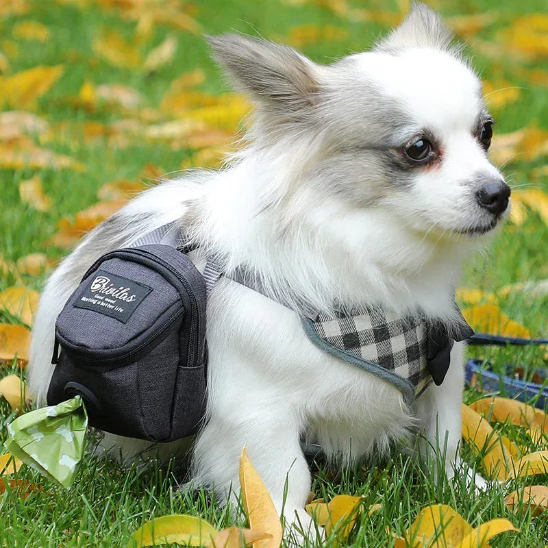 Fashion Personality Pet Supplies Dog Bag - silvia-therhond Main image